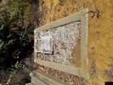 image of grave number 968415